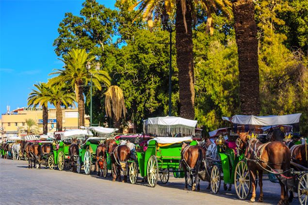 Louer une villa ou un riad dans les quartiers Hivernage et Gueliz à Marrakech